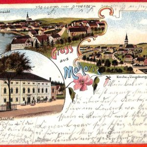 aa7130 - Ansichtskarten VINTAGE  POSTCARD: GERMANY Deutschland -  MOHORN 1902