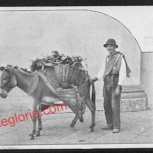 ah3795 - CARTOLINA D'EPOCA - Napoli Città - Costumi Napoletani