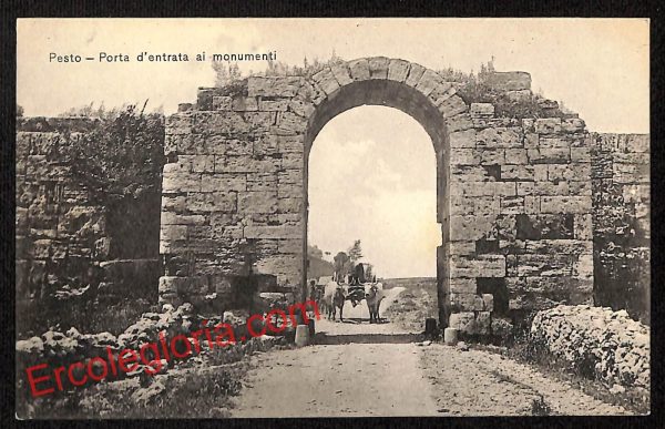 ai4621 - CARTOLINA D'EPOCA - Salerno Provincia - Pesto