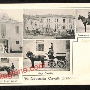 ah9790 - CARTOLINA D'EPOCA - Reggio Emilia Città - Deposito Cavalli Stalloni