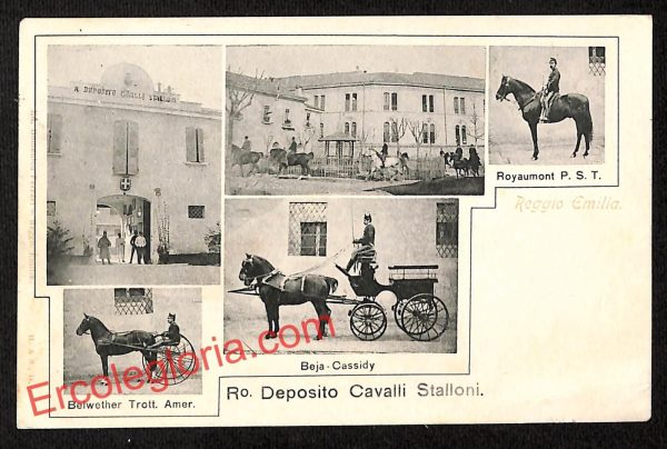 ah9790 - CARTOLINA D'EPOCA - Reggio Emilia Città - Deposito Cavalli Stalloni