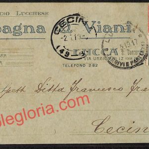 ag6320  - CARTOLINA D'EPOCA - Lucca Città - Spagna Q. Viani