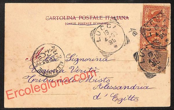 ag6338  - CARTOLINA D'EPOCA - Lucca Città - Via Nazionale - immagine 2