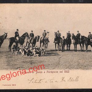 ah8862 - CARTOLINA D'EPOCA - Pordenone Città - Le Caccie al Daino