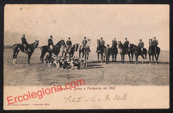 ah8862 - CARTOLINA D'EPOCA - Pordenone Città - Le Caccie al Daino