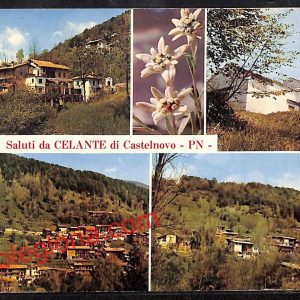 ah8873 - CARTOLINA D'EPOCA - Pordenone Provincia - Celante di Castelnovo