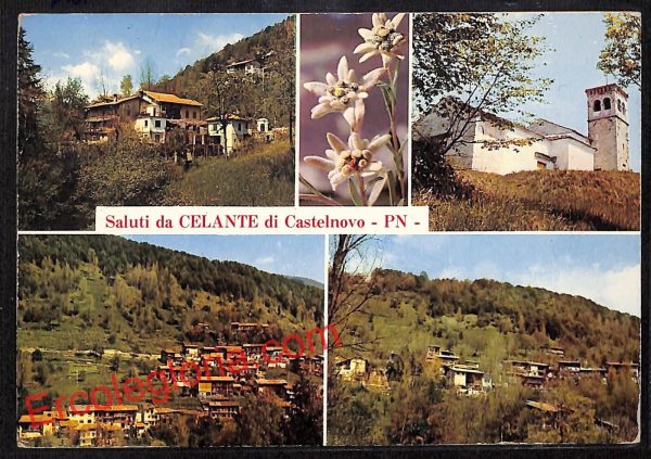 ah8873 - CARTOLINA D'EPOCA - Pordenone Provincia - Celante di Castelnovo