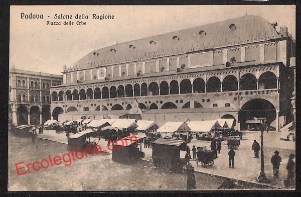 ah4266 - CARTOLINA D'EPOCA - Padova Città - Salone della Ragione