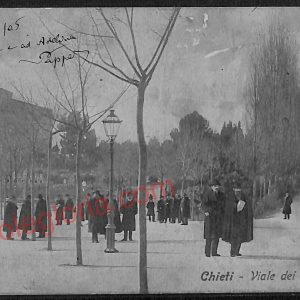 ae4966 - CARTOLINA D'EPOCA - Chieti Città - Viale dei Pioppi