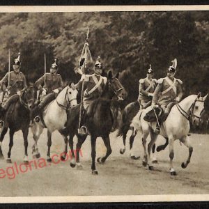 ag0860 - CARTOLINA D'EPOCA - Genova Città - Cavalleria