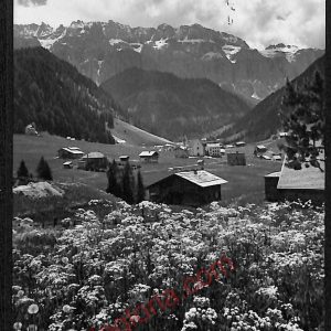 ae3485 - CARTOLINA  D'EPOCA - Bolzano Città - Selva di Val Gardena
