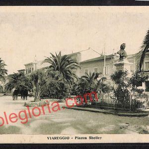 ag6896 - CARTOLINA D'EPOCA - Lucca Provincia - Viareggio