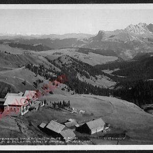 ae3506 - CARTOLINA  D'EPOCA - Bolzano Città - Alpi di Siusi