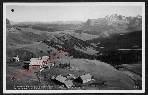 ae3506 - CARTOLINA  D'EPOCA - Bolzano Città - Alpi di Siusi