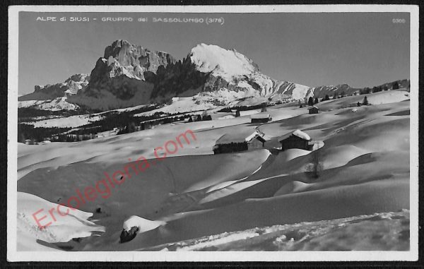 ae3509 - CARTOLINA  D'EPOCA - Bolzano Città - Alpi di Siusi  1931