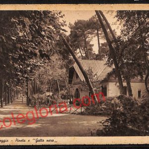 ag6899 - CARTOLINA D'EPOCA - Lucca Provincia - Viareggio