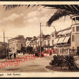 ag6901 - CARTOLINA D'EPOCA - Lucca Provincia - Viareggio