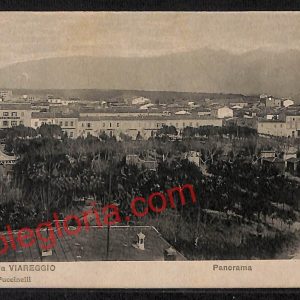 ag6926 - CARTOLINA D'EPOCA - Lucca Provincia - Viareggio