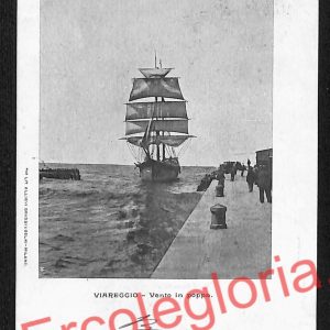 ag6957 - CARTOLINA D'EPOCA - Lucca Provincia - Viareggio