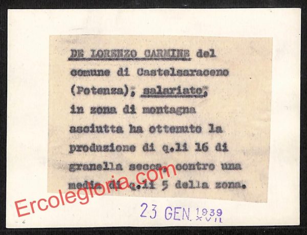 ah8927 - FOTO D'EPOCA - Potenza Città - De Lorenzo Carmine - immagine 2