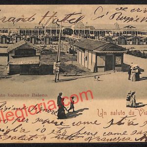 ag6969 - CARTOLINA D'EPOCA - Lucca Provincia - Viareggio