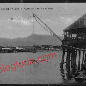 ag6988 - CARTOLINA D'EPOCA - Lucca Provincia - Viareggio