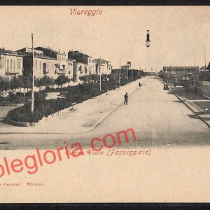 ag6989 - CARTOLINA D'EPOCA - Lucca Provincia - Viareggio