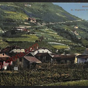 ae3519 - CARTOLINA  D'EPOCA - Bolzano Città - Panorama  1920