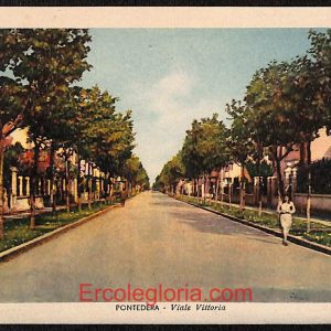 ae1903 - CARTOLINA  D'EPOCA - Biella Provincia - Pontedera