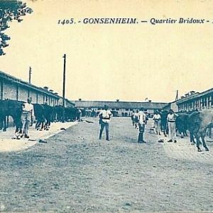 11683 - Ansichtskarten  POSTCARD - Deutschland GERMANY -  GONSENHEIM