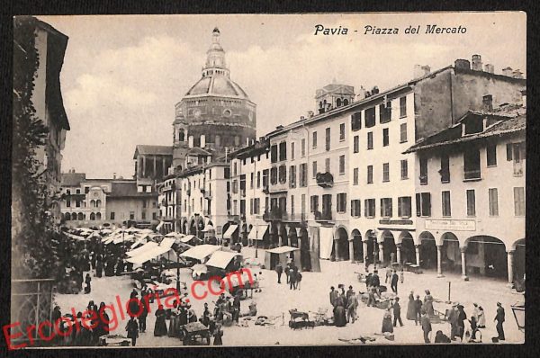 ah5948 - CARTOLINA  D'EPOCA - Pavia Città - Piazza del Mercato