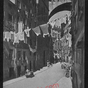 ag0925 - CARTOLINA D'EPOCA - Genova Città - Ponte di Carignano  1905