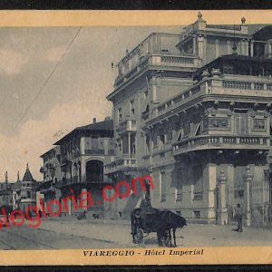 ag7036 - CARTOLINA D'EPOCA - Lucca Provincia - Viareggio