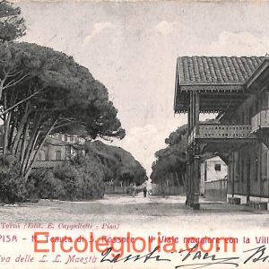 ad0091 - CARTOLINA D'epoca - Pisa Città - Il Viale maggiore con la Villa  1903