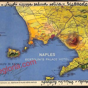 ah3381 - CARTOLINE D'EPOCA - Napoli Citta - Bertolini's Palace Hotel