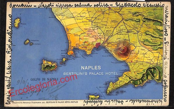 ah3381 - CARTOLINE D'EPOCA - Napoli Citta - Bertolini's Palace Hotel