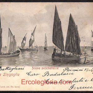 ad9819 - CARTOLINA  D'EPOCA - Ancona Provincia - Senigallia   1902