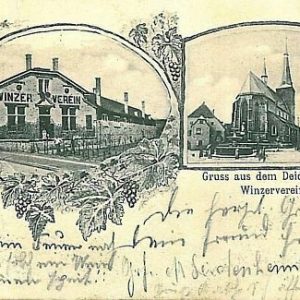 11725 -  Ansichtskarten  POSTCARD - Deutschland GERMANY - Gruss Aus DEIDESHEIMER