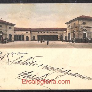 ad9822 - CARTOLINA  D'EPOCA - Ancona Provincia - Senigallia   1905