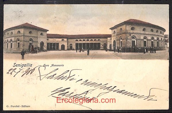 ad9822 - CARTOLINA  D'EPOCA - Ancona Provincia - Senigallia   1905