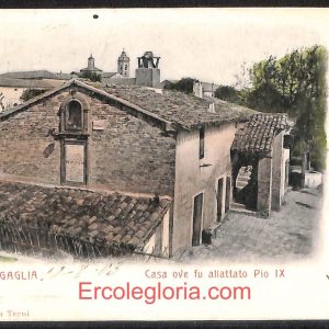 ad9826 - CARTOLINA  D'EPOCA - Ancona Provincia - Senigallia   1903
