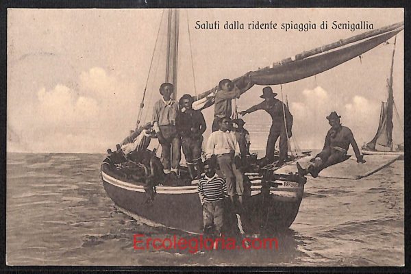 ad9828 - CARTOLINA  D'EPOCA - Ancona Provincia - Senigallia   1913