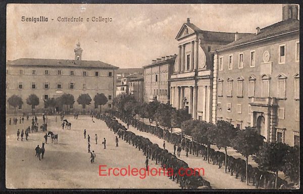 ad9831 - CARTOLINA  D'EPOCA - Ancona Provincia - Senigallia   1917
