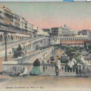 80073 - ALGERIA  Algérie -  Carte postal VINTAGE POSTCARD -  ALGER