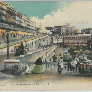 80074 - ALGERIA  Algérie -  Carte postal VINTAGE POSTCARD -  ALGER