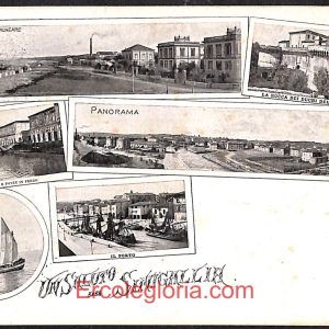 ad9836 - CARTOLINA  D'EPOCA - Ancona Provincia - Sinigaglia  1910