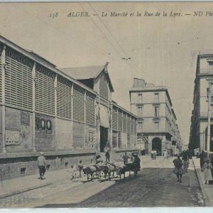 80080 - ALGERIA  Algérie -  Carte postal VINTAGE POSTCARD -  ALGER
