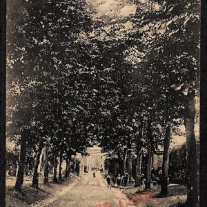 ae7522 - CARTOLINA D'EPOCA - Firenze Provincia - Cancelli   1933