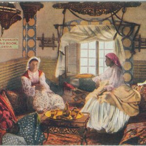 80085 - ALGERIA  Algérie -  Carte postal VINTAGE POSTCARD -  ALGER