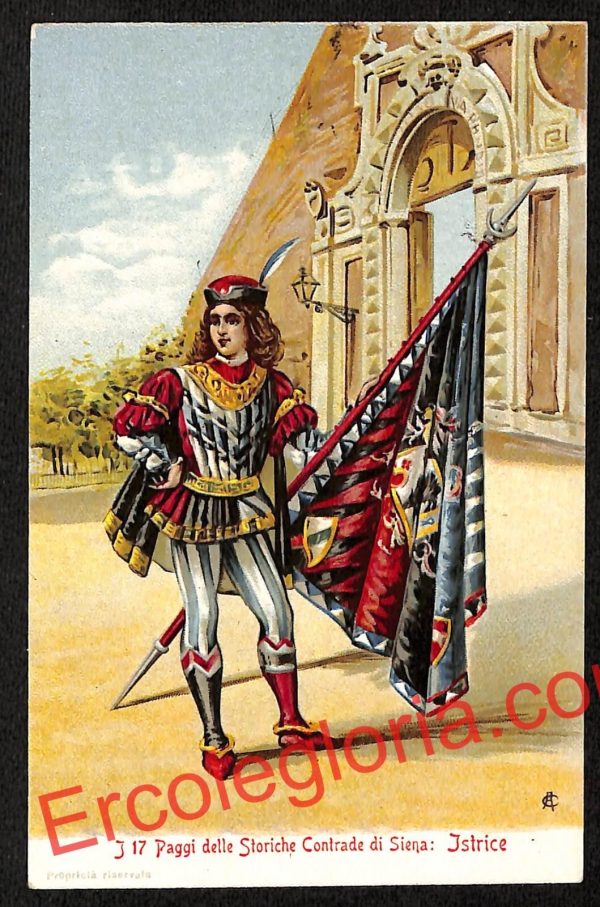 ai5482 CARTOLINA D'EPOCA - I 17 Paggi delle Storiche Contrade di Siena : Istrice